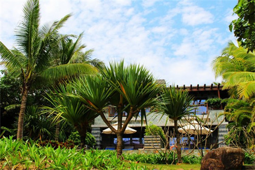 影视电影加盟项目2025哪些比较可靠，影视公司加盟