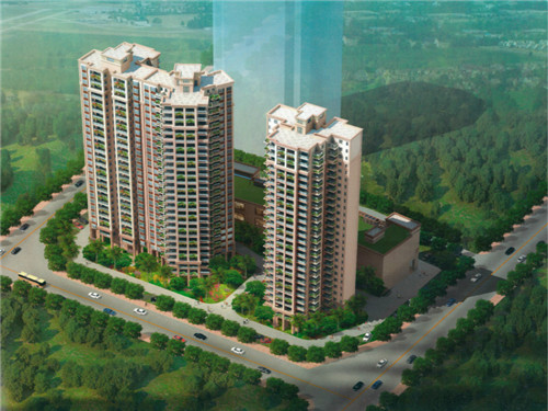 安阳县腰果加盟和直营的区别有哪些，腰果批发