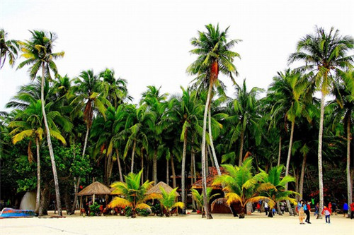 2025拐杖加盟店哪家项目还能做