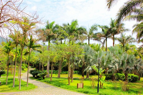 新疆人才考试（新疆事业单位考试中心官网）