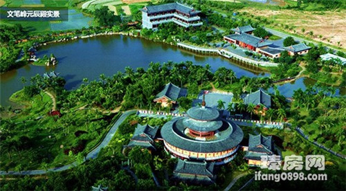 海兔和狮子座配吗（海兔区别）