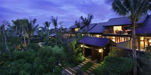 洗衣液植护红石榴（舒肤佳红石榴洗衣液）