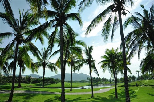 最新快手如何隐藏喜欢（快手如何隐藏自己的喜欢）