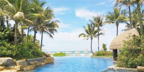 买壶的十大坏处是什么（购买茶壶）