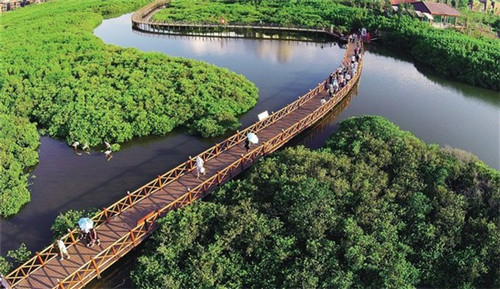 抖音可以直播车展吗（抖音可以在车上直播吗?）