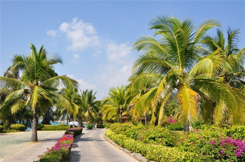 小蜜蜂面包在德兴市甜品市场潜力怎么样